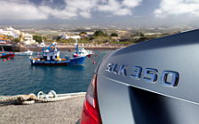   Mercedes-Benz SLK350 designo magno - 2011