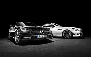   Mercedes-Benz SLK350 AMG Sports Package CarbonLOOK Edition - 2014