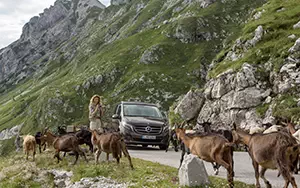   Mercedes-Benz Marco Polo 250 BlueTEC - 2014