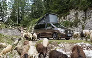   Mercedes-Benz Marco Polo 250 BlueTEC - 2014