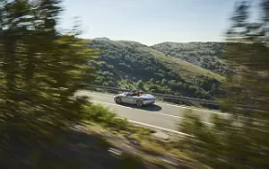   Porsche Boxster 25 Years - 2021
