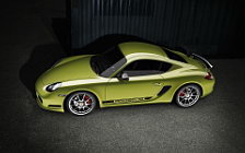   Porsche Cayman R - 2011