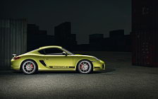   Porsche Cayman R - 2011