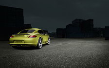   Porsche Cayman R - 2011