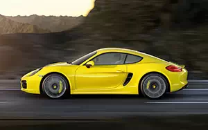   Porsche Cayman S - 2013