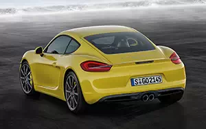   Porsche Cayman S - 2013