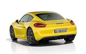   Porsche Cayman S - 2013