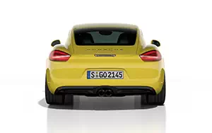   Porsche Cayman S - 2013