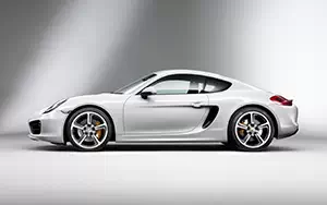   Porsche Cayman S - 2013