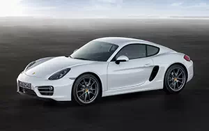   Porsche Cayman - 2013