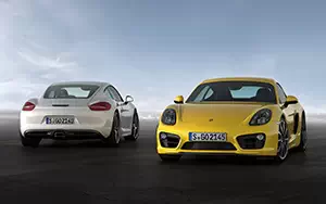   Porsche Cayman - 2013