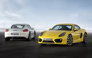  Porsche Cayman - 2013