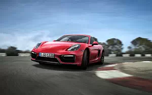   Porsche Cayman GTS - 2014