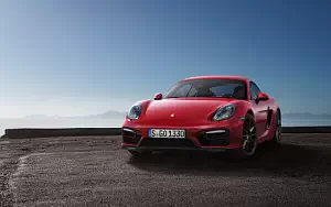   Porsche Cayman GTS - 2014
