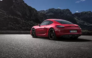   Porsche Cayman GTS - 2014