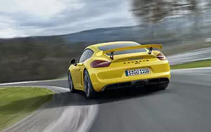   Porsche Cayman GT4 - 2015