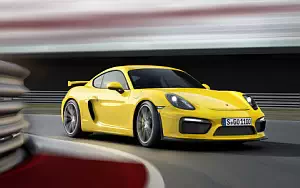   Porsche Cayman GT4 - 2015