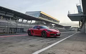   Porsche 718 Cayman GTS - 2017