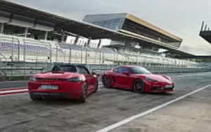   Porsche 718 Cayman GTS - 2017