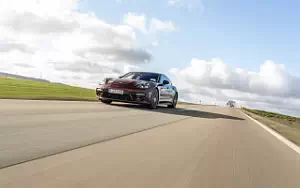   Porsche Panamera 4 E-Hybrid SportDesign Package (Cherry Metallic) - 2020