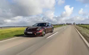   Porsche Panamera 4 E-Hybrid SportDesign Package (Cherry Metallic) - 2020