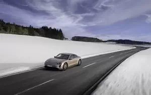   Porsche Taycan (Frozen Berry Metallic) - 2021