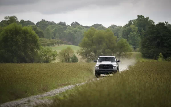 ���� ���������� Ram 1500 Rebel (Billet Silver Metallic/Diamond Black) - 2024