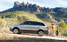   Skoda Fabia Scout - 2009
