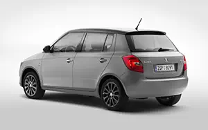   Skoda Fabia Reaction - 2013