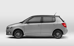   Skoda Fabia Reaction - 2013