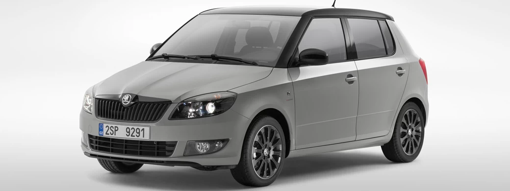   Skoda Fabia Reaction - 2013 - Car wallpapers