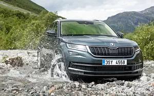   Skoda Kodiaq - 2016