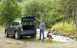   Skoda Kodiaq - 2016
