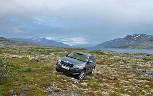   Skoda Kodiaq - 2016