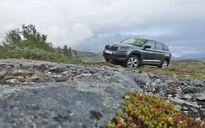   Skoda Kodiaq - 2016