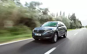   Skoda Kodiaq - 2017