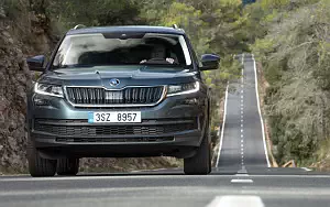   Skoda Kodiaq - 2017