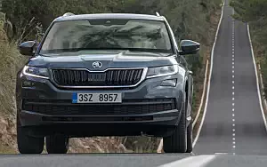   Skoda Kodiaq - 2017
