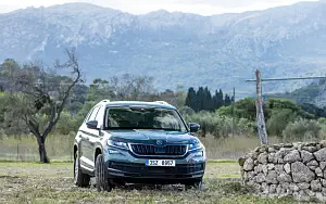   Skoda Kodiaq - 2017