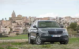   Skoda Kodiaq - 2017