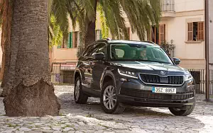  Skoda Kodiaq - 2017