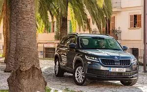   Skoda Kodiaq - 2017