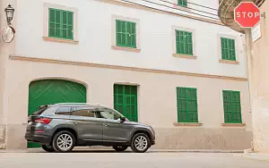   Skoda Kodiaq - 2017