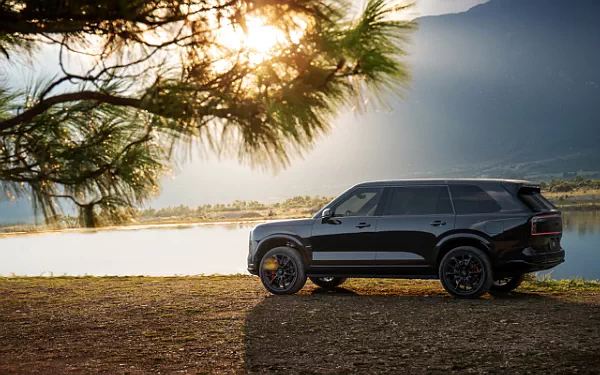 ���� ���������� Zeekr 9X Black - 2025